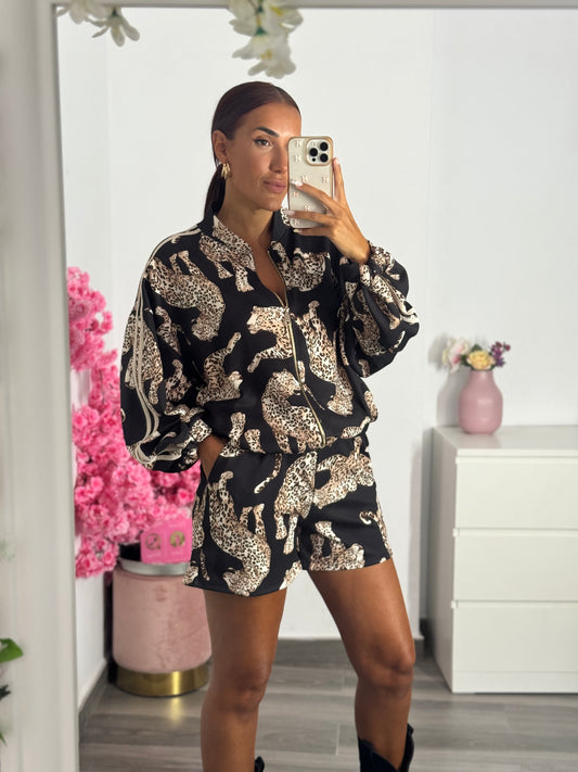 Conjunto animal
