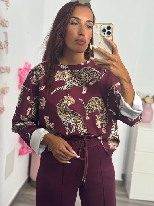 Conjunto leo